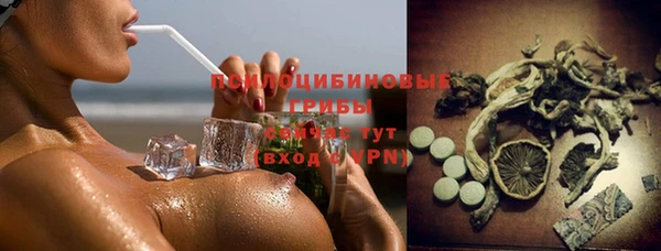 шишки Бугульма