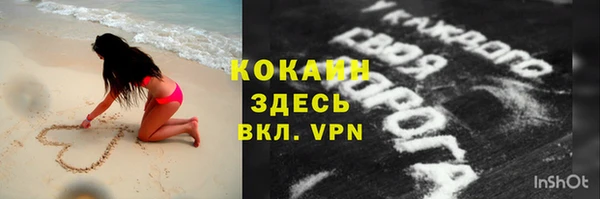 стафф Бородино