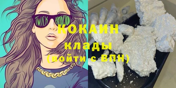 стафф Бородино