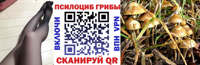 Псилоцибиновые грибы мицелий  MEGA ТОР  Новокузнецк 
